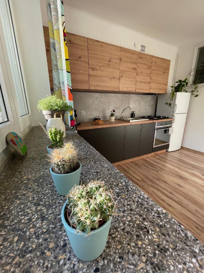 Old Town Nest Apartment Krakow Exterior photo